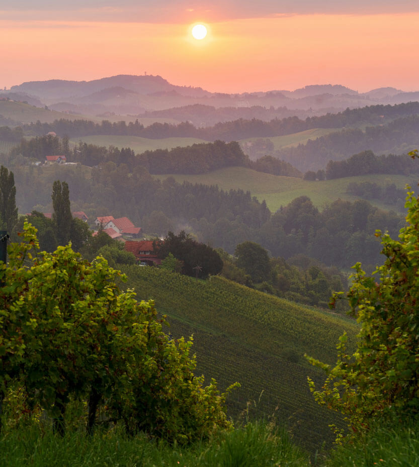 Wine – About