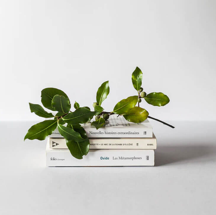 Author – About