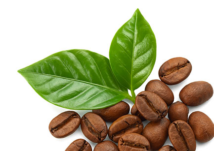 Coffee – About