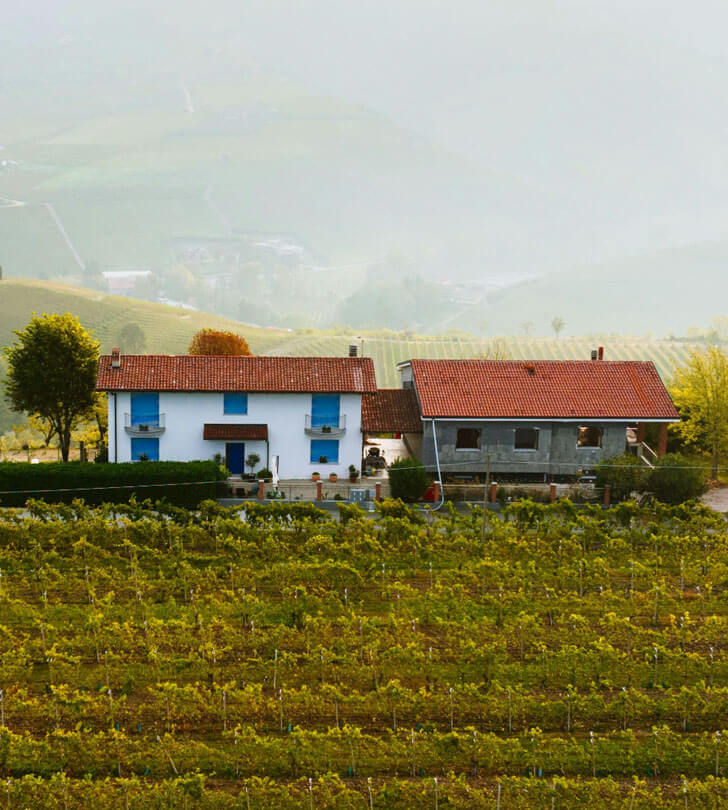 Wine – Home Wine – Home