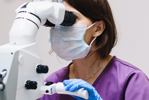 Dental – Contact