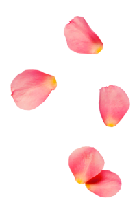 Spa Spa