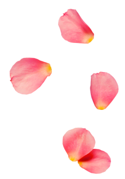 Spa Spa