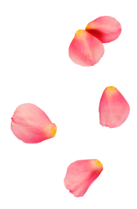 Spa Spa